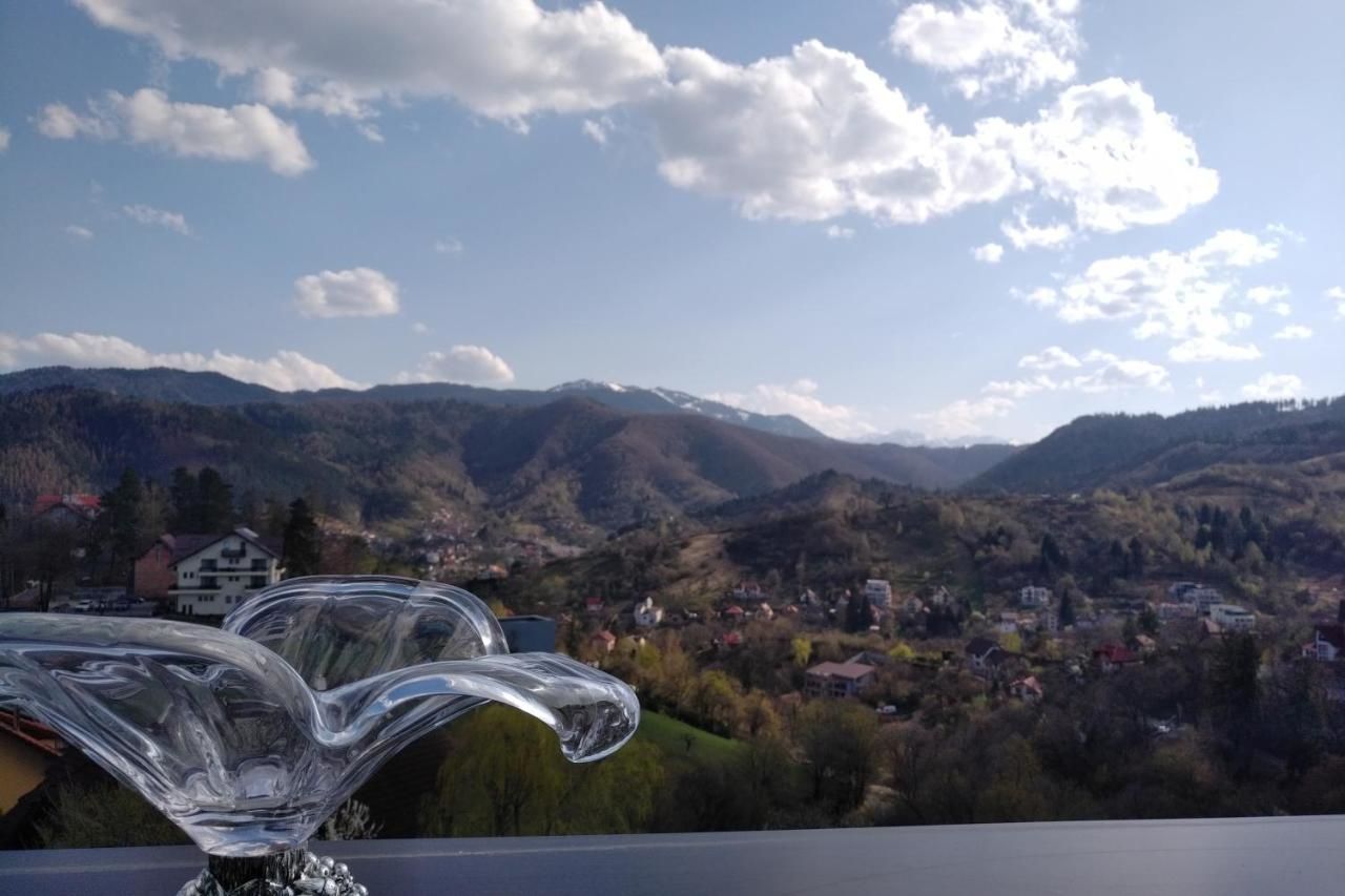 Отель Grand Hotel Belvedere Брашов